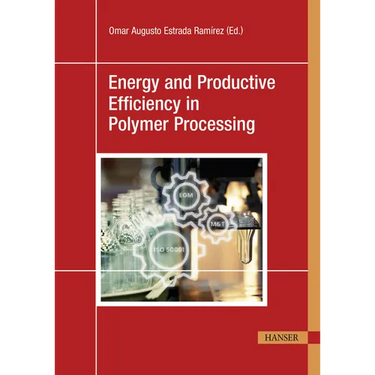 Energy and Productive Efficiency in Polymer Processing