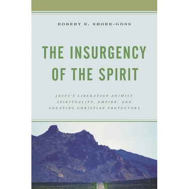 The Insurgency of the Spirit: Jesus's Liberation Animist Spirituality, Empire, and Creating Christian Protectors