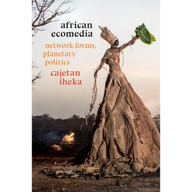 African Ecomedia: Network Forms, Planetary Politics