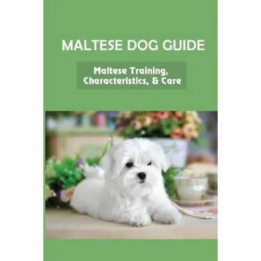 Maltese Dog Guide: Maltese Training, Characteristics, & Care: Alpha Dog For Maltese Dog