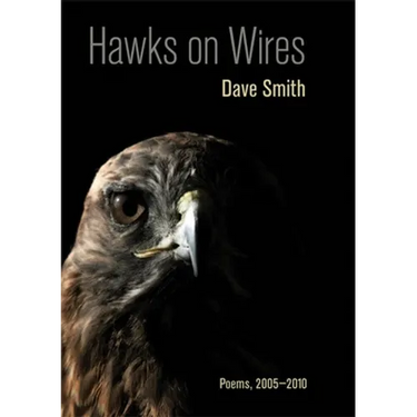 Hawks on Wires: Poems, 2005-2010