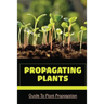 Propagating Plants: Guide To Plant Propagation: Plant Propagation Methods