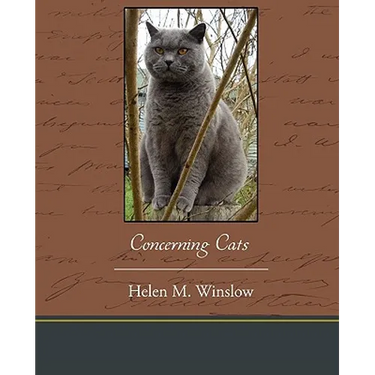Concerning Cats