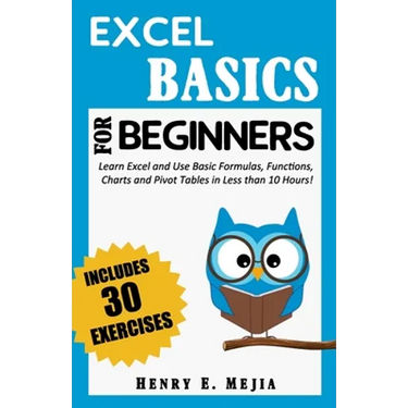 Excel Basics for Beginners: Learn Excel and Use Basic Formulas, Functions, Charts and Pivot Tables in Less Than 10 Hours!