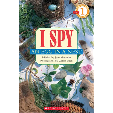 I Spy an Egg in a Nest