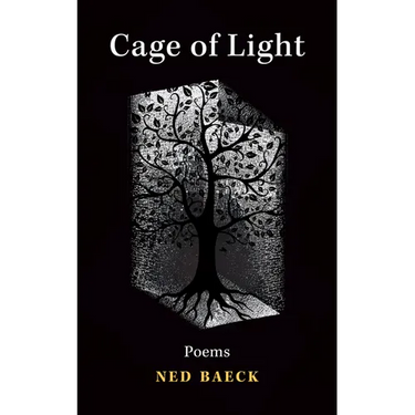 Cage of Light: Volume 295