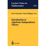 Introduction to Algebraic Independence Theory