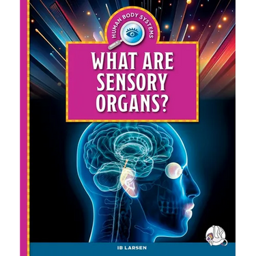 What Are Sensory Organs?