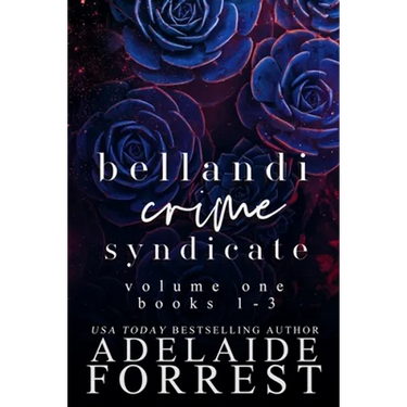 Bellandi Crime Syndicate Volume One: A Dark Mafia Box Set: A