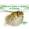 Different Spikes & Spines of Animals