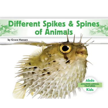 Different Spikes & Spines of Animals