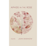 Aphids in the Rose