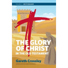 The Glory of Christ in the Old Testament: Job to Malachi