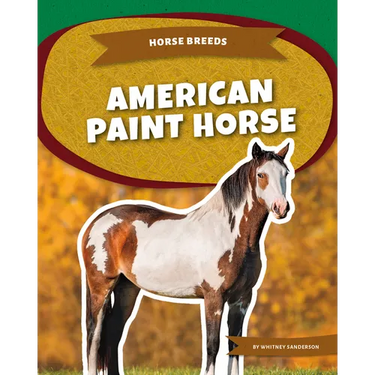 American Paint Horse