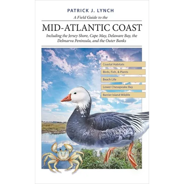 A Field Guide to the Mid-Atlantic Coast: Including the Jersey Shore, Cape May, Delaware Bay, the Delmarva Peninsula, and the Outer Banks