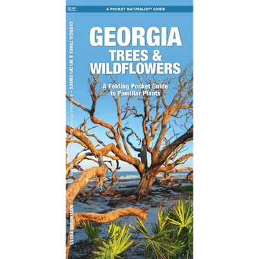 Georgia Trees & Wildflowers: A Folding Pocket Guide to Familiar Plants