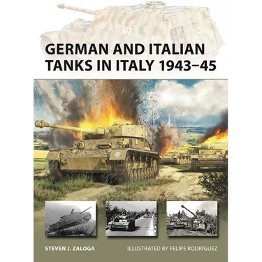 German and Italian Tanks in Italy 1943-45