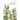 Vegetation of Fraser Island / K'gari