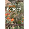 Small Acts. Endless Echoes
