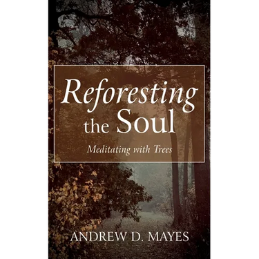 Reforesting the Soul: Meditating with Trees