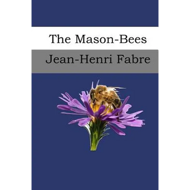 The Mason-Bees