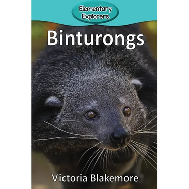 Binturongs