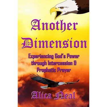 Another Dimension: Experiencing God's Power Through Intercession and Prophetic Prayer