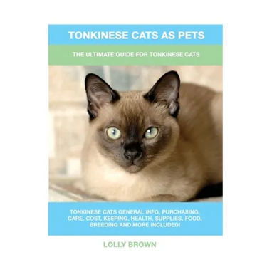 Tonkinese Cats as Pets: The Ultimate Guide for Tonkinese Cats