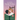 Gate of Rose and Vine: Book One