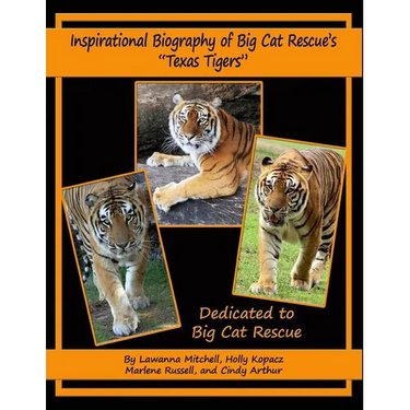 Inspirational Biography of Big Cat Rescue's "Texas Tigers"