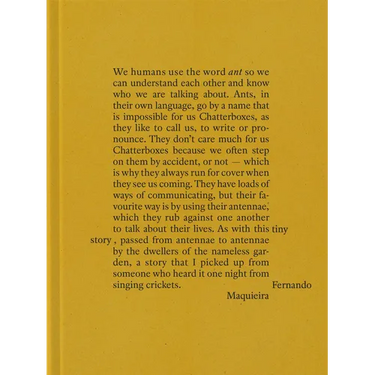 Fernando Maquieira: A Tiny Story