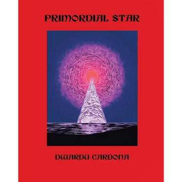 Primordial Star