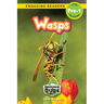 Wasps: Backyard Bugs and Creepy-Crawlies (Engaging Readers, Level Pre-1)