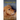 A Big Little Life: A Memoir of a Joyful Dog Named Trixie