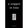 A snippet in time