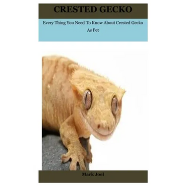 Crested Gecko: Every Thing You Need To Know About Crested Gecko As Pet