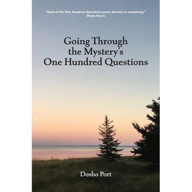 Going Through the Mystery's One Hundred Questions