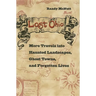 Lost Ohio: More Travels Into the Haunted Landscapes, Ghost Towns, and Forgotten Lives