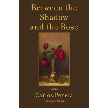 Between the Shadow and the Rose. Selected poems 2001-2024: A Bilingual Edition (English and Galician)