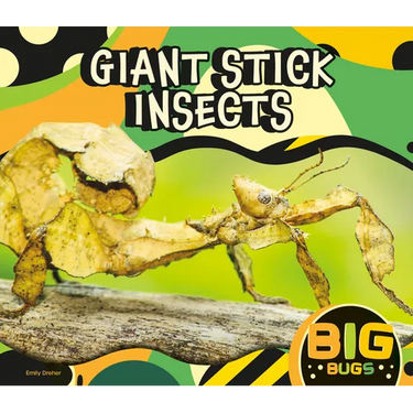 Giant Stick Insects