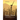 Down Wind
