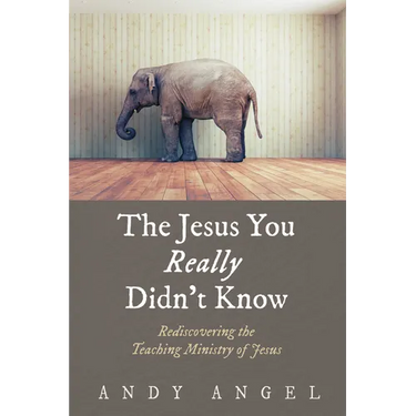 The Jesus You Really Didn't Know: Rediscovering the Teaching Ministry of Jesus