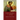 The Gospel of Luke