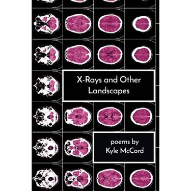 X-Rays and Other Landscapes
