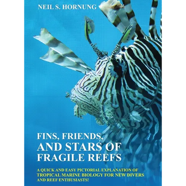 Fins, Friends, and Stars of Fragile Reefs