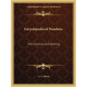 Encyclopedia of Numbers: Their Essence and Meaning