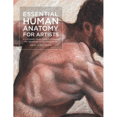 Essential Human Anatomy for Artists: A Complete Visual Guide to Drawing the Structures of the Living Form