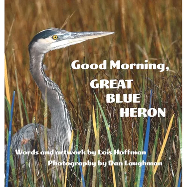 Good Morning, Great Blue Heron