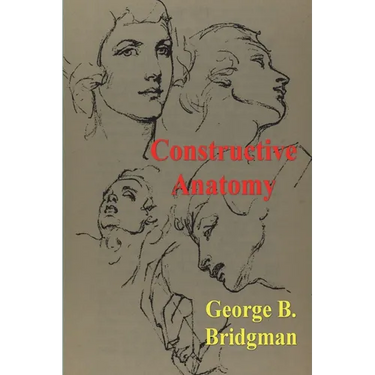 Constructive Anatomy
