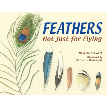 Feathers: Not Just for Flying